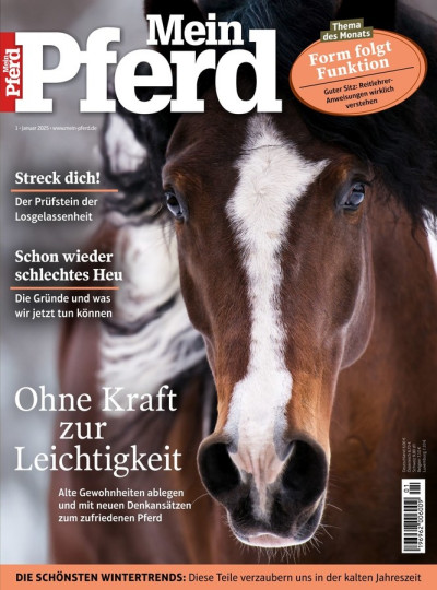 Mein Pferd